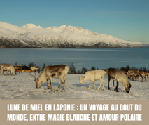 Lune de miel en Laponie : Un voyage au bout du monde, entre magie blanche et amour polaire - Crédit photo : Tous droits réservés