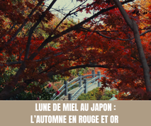 Lune de miel au Japon : l’automne en rouge et or  - Crédit photo : Tous droits réservés