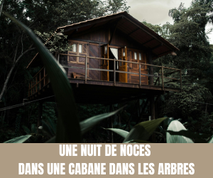Une nuit de noces dans une cabane dans les arbres - Un Jour Un Oui