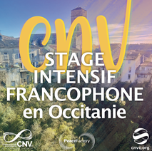 stage intensif francophone (IIT) 