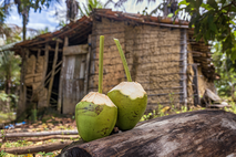 água de coco, cachoeira, urubu, convento, mata atlântica, rio ipojuca, canavial, restaurante moquém, primavera, prasilien, viagem de aventura