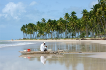 fisherman, fishing boat, rio formoso, carneiros beach, tamandare, brazil, dream beach, coconut palms, paradise, brazil travel, beach vacation