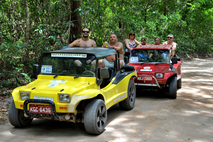 buggy tour, adventure, porto de galinhas, brazil, coconut trees, maracaipe, fishing village, paradise, family vacation, beach vacation, brazil info