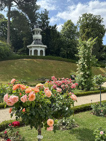 The famous rose garden at Bagatelle.