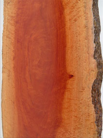 ボセ　天然木　無垢一枚板　ダイツリー