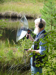 Wildlife Recording - benutzt wird ein hochwertiges Stereo Parabol Mikrophon System - Northern Lights Flutes