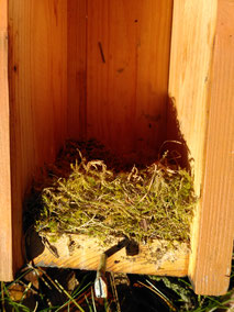 Foto: Nabu / Susanne Jost