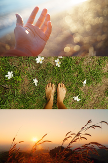 Je regarde ma main baignée des scintillements d'un soleil doux. Je suis debout et je regarde mes pieds nus dans l'herbe bien verte parsemée de fleurs. Je regarde l'horizon, un soleil levant ou couchant dans la douceur et la brise dans les herbes sauvages.