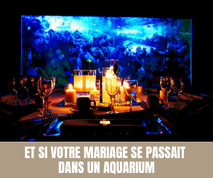 Et si votre mariage se passait dans un aquarium