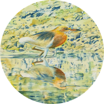 安枝尚美　水鏡　water mirror　水彩画　watercolor