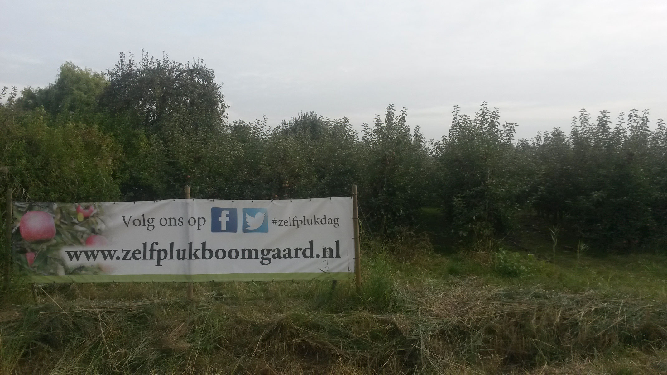 Copyright Zelfplukboomgaard.nl (c) Zelfplukboomgaard.nl