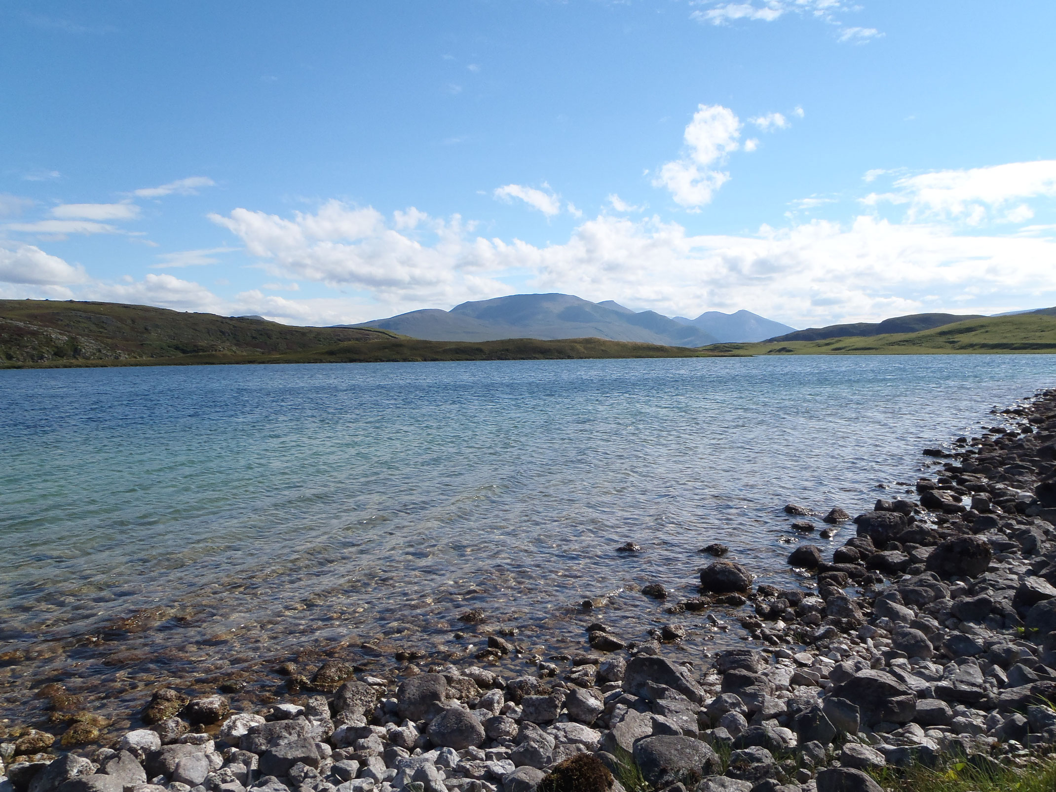 LAKE /& LOCH FLIES HOPPERS /& BUMBLES TROUT FISHING FLIES 2 flies per pack