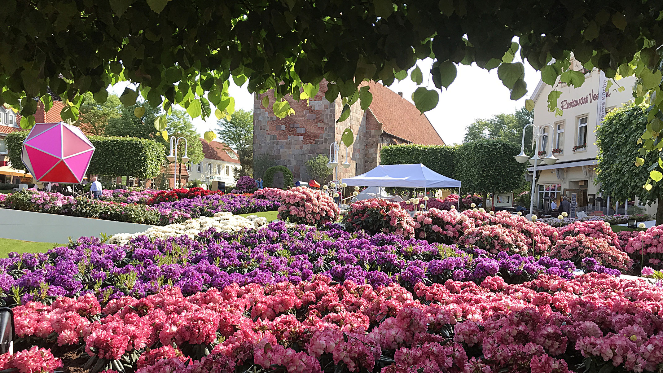 Wir waren auf der Rhodo 2018 in Bad Zwischenahn Scharnweber Garten