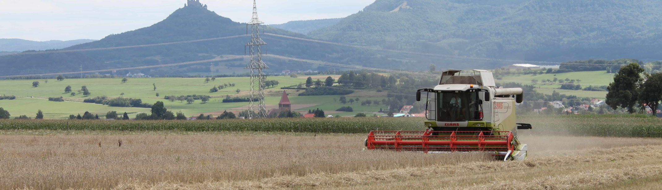 ehrlich naturlich gut die domane homburger hof in grosselfingen der bio bauernhof