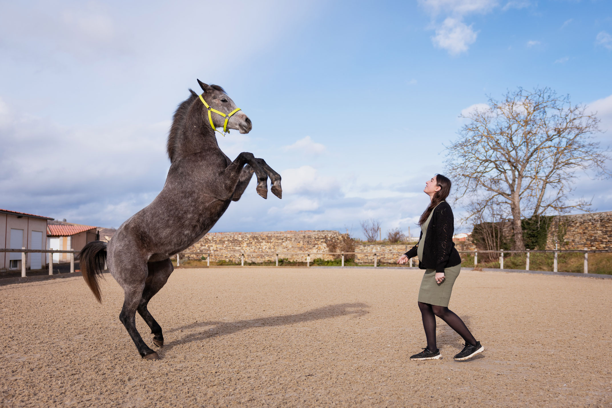 Photographe grossesse et chevaux Clermont-Ferrand