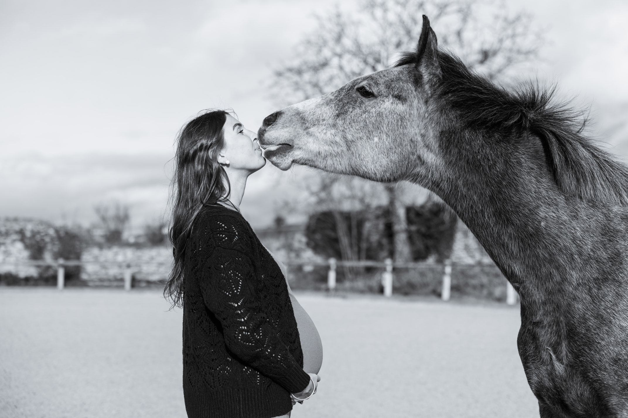 Photographe de grossesse avec chevaux
