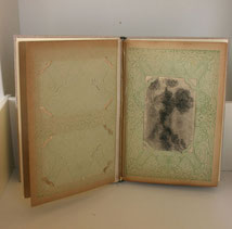Libro d'artista: rilegatura di un vecchio album porta cartoline postali, sostituite da  una serie completa di "Paesaggi in fuga"