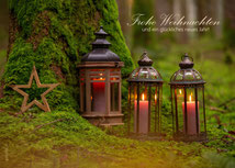 Weihnachtskarten, Neujahrskarten, Wald, Laternen im Wald, Kerzenlichter, Kerzenlichter im Wald, Kerzenschein, gutenhof, Ettiswil, Luzern, Fotokarten Weihnachten