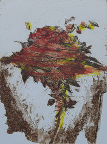 Ermanno Barovero, Rosa, cartella Rosa
