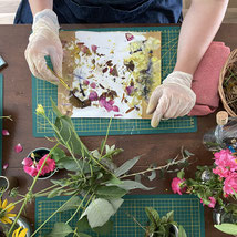 atelier de teinture végétale sur papier