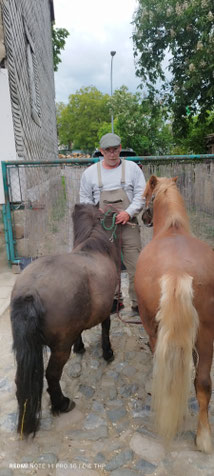 Mobile Tierheilpraxis Wernigerode, Halberstadt, Blankenburg, Goslar, Bad Harzburg, jetzt Termin vereinbaren