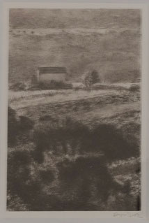 F. Dupuis, la petite maison, monotype.