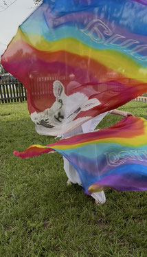 Lamb with radiant colors behind it, "Yeshua"