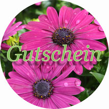 Gutscheine