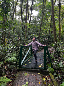 Day trip to visit Monteverde from Arenal - La Fortuna