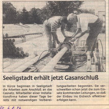 Bild: Seeligstadt Chronik 1996