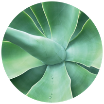 Ulife7777 unify life im Einklang mit Natur und Umwelt - ULIFE