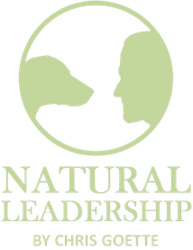 Natural Leadership mit Chris Goette in Göttingen