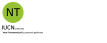 Schutzstatus des Maskenwürgers gemäß der Roten Liste der Brutvögel des IUCN, EU, in Deutschland, Österreich und der Schweiz.
