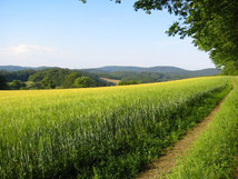 Leben mit der Natur