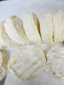 Pelardons fromages de chèvres de Gerard - gite de liou Cévennes