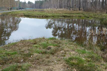 Tümpel am Lehrpfad, Foto: ©KBenedickt.
