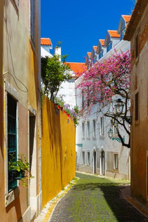 Old Jewish Quarter Lisbon - Lisbon Jewish Tours by Patricia