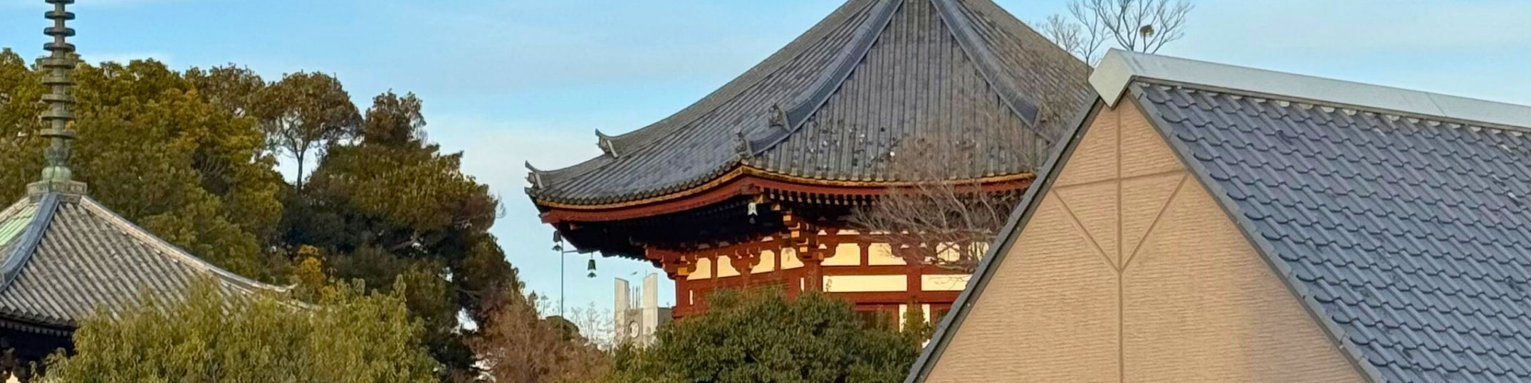 オフィスからの眺め。興福寺三重塔（左）と南円堂（右）。南円堂の奥に奈良県庁。