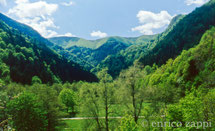 Parco Nazionale delle Foreste Casentinesi