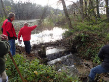 Stadelweiher Überlauf