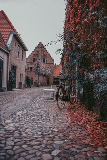 Autum vibes in Elburg City
