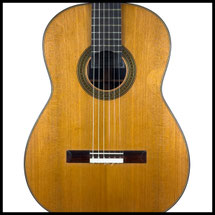 Dominique Field, classical guitar