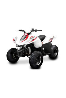 Barossa Cheetah 250cc