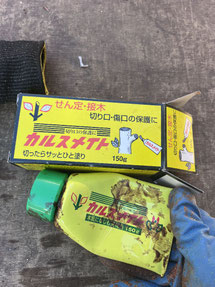 国立市で樹を保護する植木屋「纏造園」