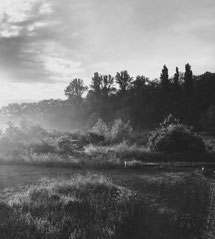 Schwarz-weiß Foto von einem weitläufigen, parkähnlichen Garten, über dem der leicht der Nebel steht.