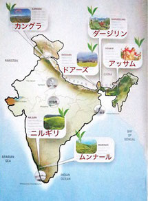 インドの茶産地を地図付きで紹介します