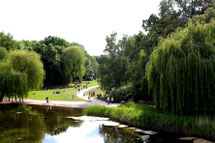 Rudolph-Wilde-Park in Schöneberg mit Teich, Trauerweide und Wiesen zum Erholen, spielen und Sonnenbaden. Foto: Helga Karl