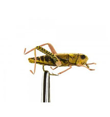 Realistic Hopper