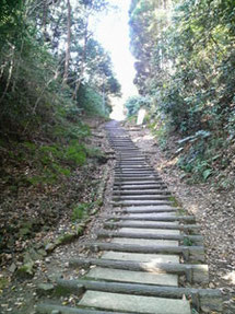 階段を登りきると