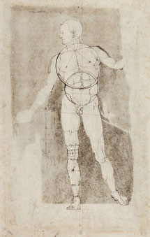 (Bild 19) Albrecht Dürer, Adam (Konstruktionszeichnung), 1504, Feder in Braun, 26,2 x 16,6 cm, Inv.Nr. 3080v, Albertina / Wien